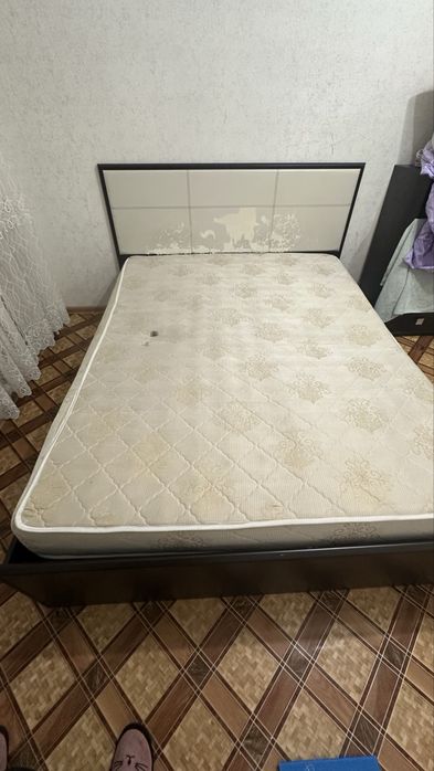 Отдаю бесплатно!