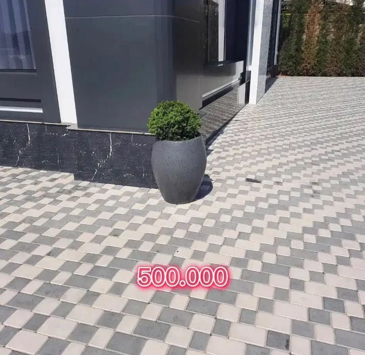 Гул туваклар, жуда бақувват