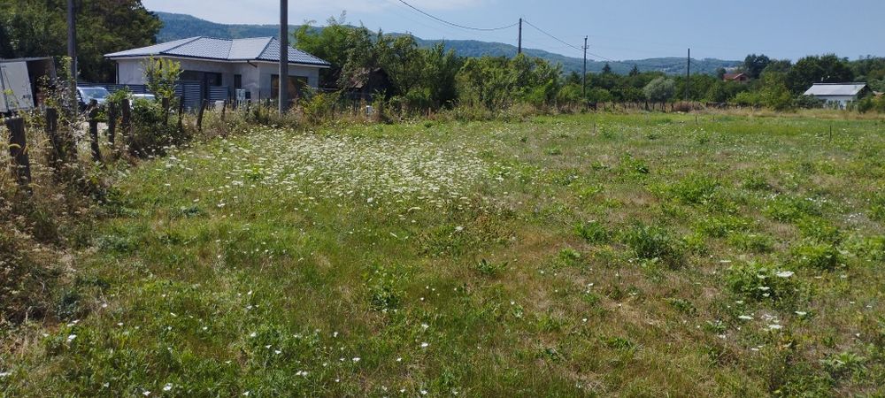 Vand teren intravilan cu parcele de 650mp
