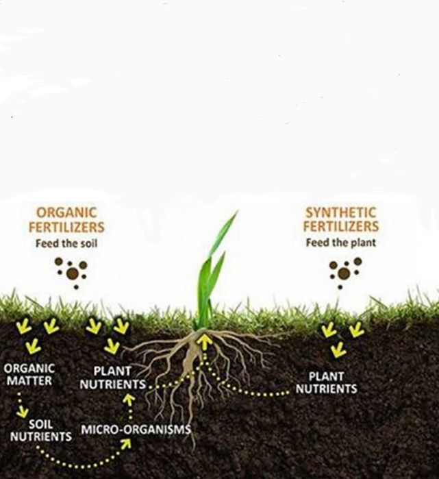 Biogumus organik o'g'iti bizda maxsulot arzon va sifatli.