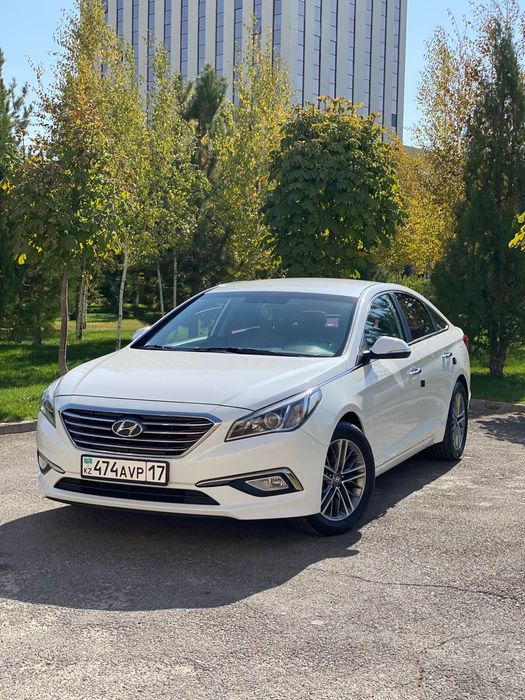 Трезвый водитель