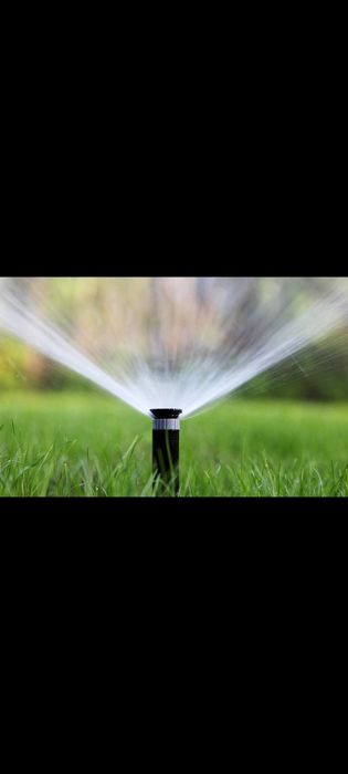 Amenajez gradini cu gazon rulou si plante ornamentale sistem de irigat