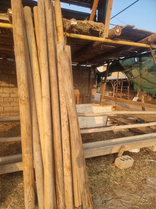 To'sin sotiladi rossiya va teraklar