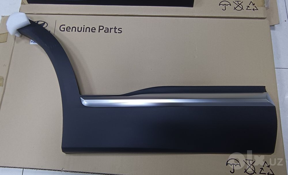 Hyundai Santafe molding