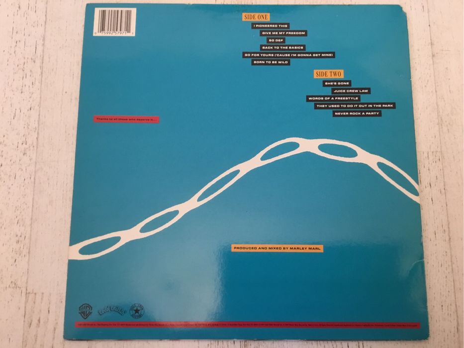 Discuri vinil muzica rap american