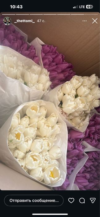 Тюльпаны к 8 марта