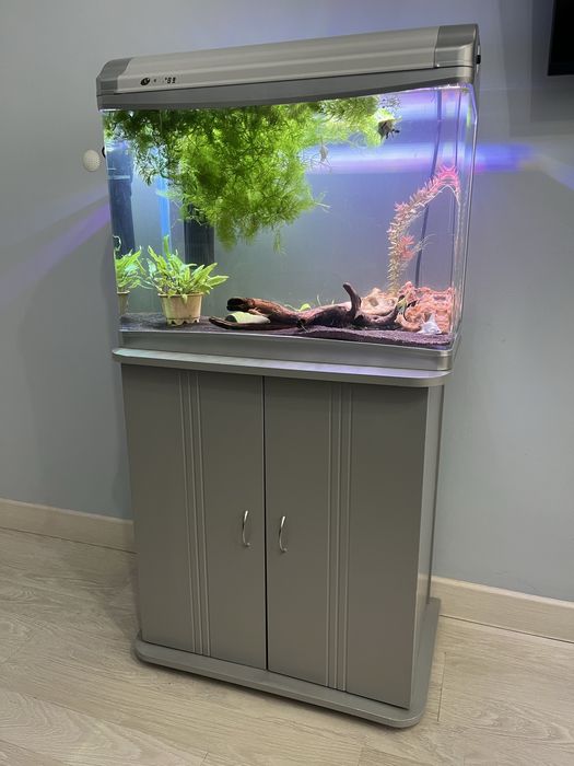 Аквариум 80 литров