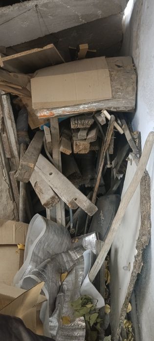 Сухое дерево на дрова