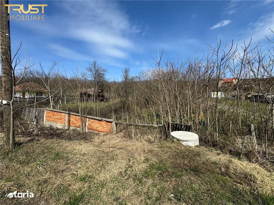 Teren Parcelabil I 11400 MP I Corpadea