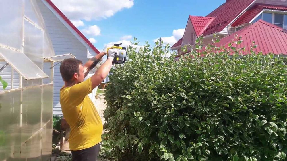 Стрижка живой изгороди