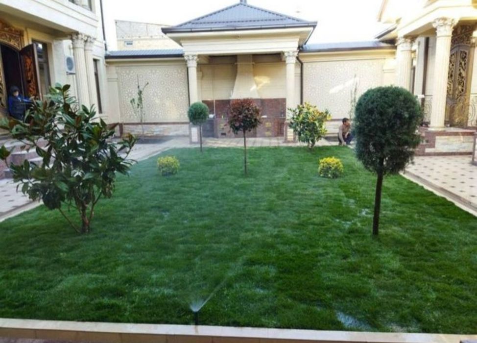 Газон-посев-рулон=гарантия 100%