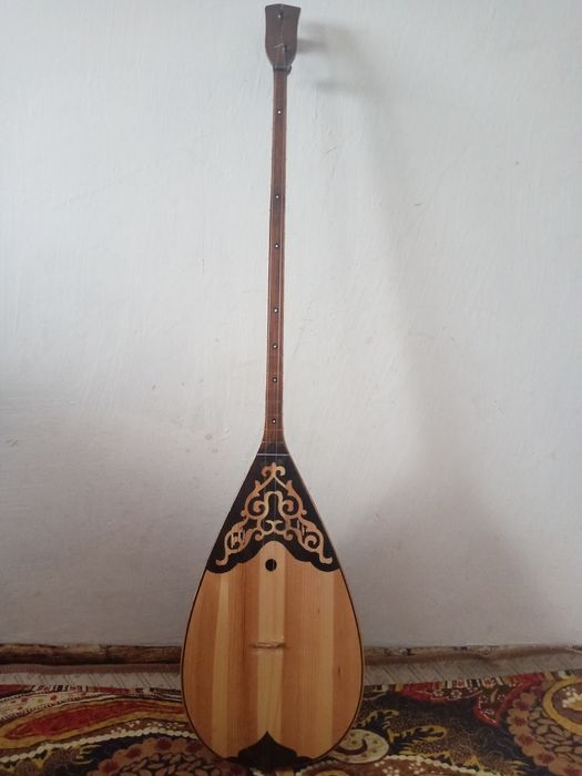 Домбыра чехолымен