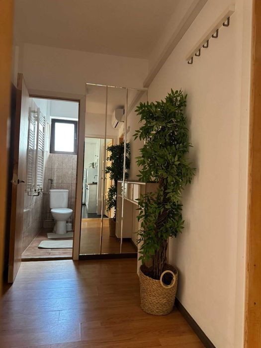 dumbravita - apartament o camera