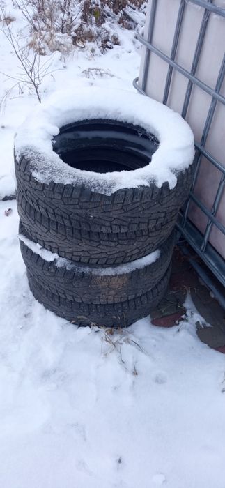 Шины кордиант бу