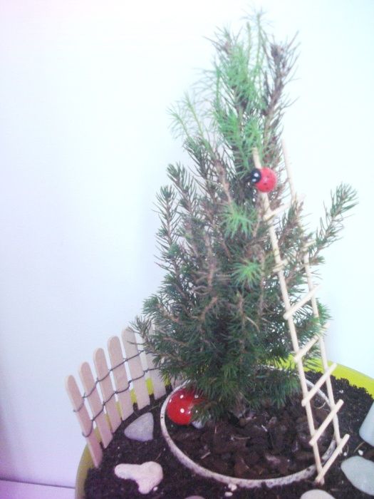 Мини градина - Приказка