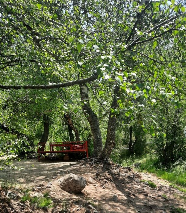 Chimyon tapchan beryoza rechkaga dam olishga keling