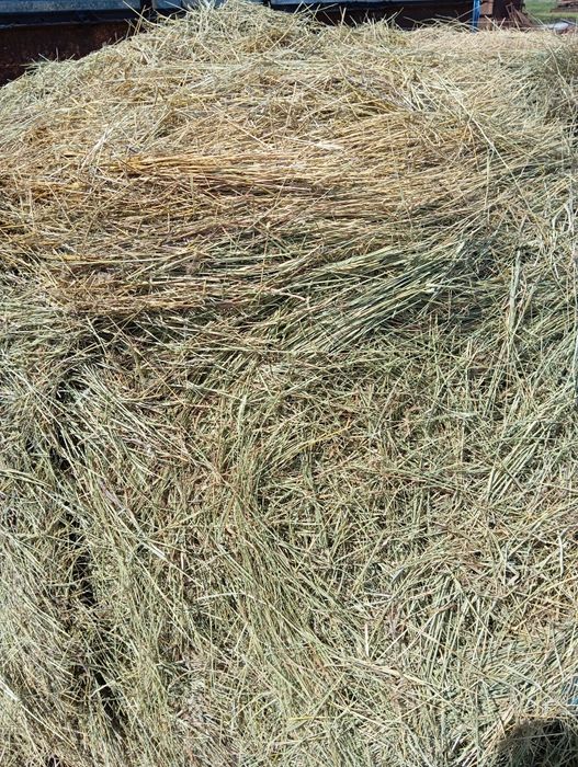Продам сено в  рулонах