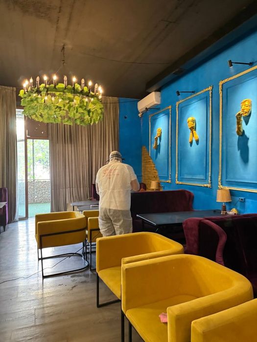 Уничтожение клопов, травля тараканов. Дезинфекция