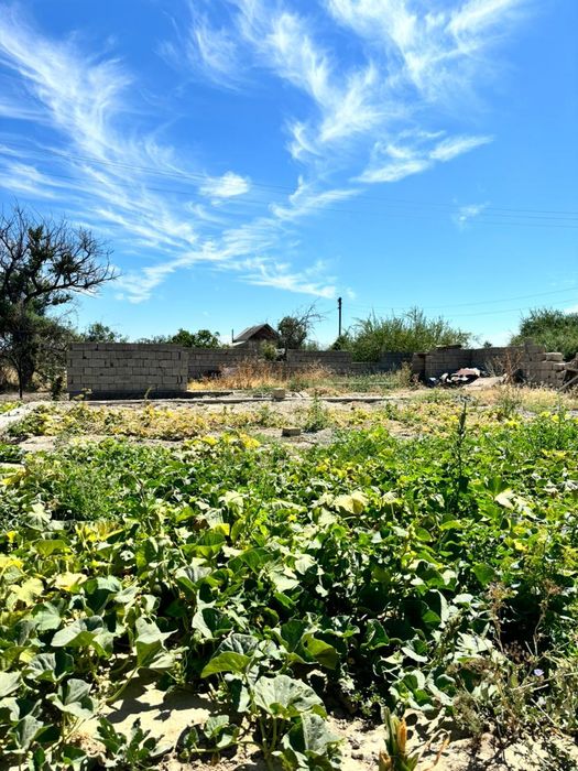 Продам дачу ново джамбул