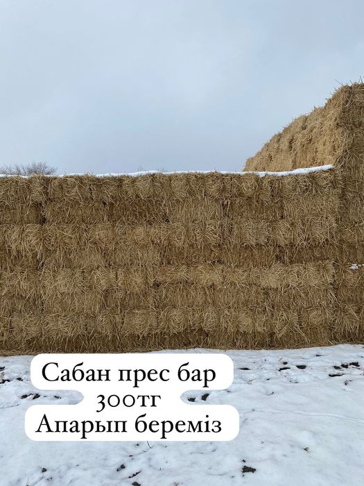 Сабан прес бар 300 тг