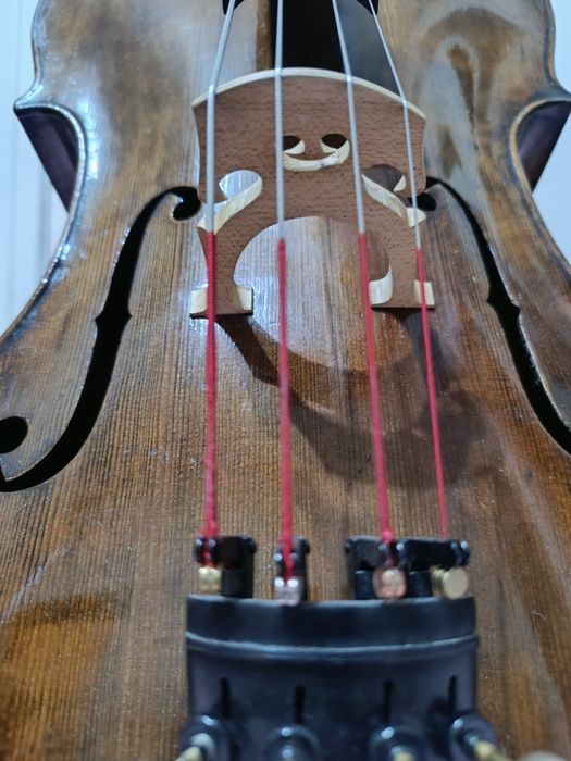 Виолончело ,Щайнер