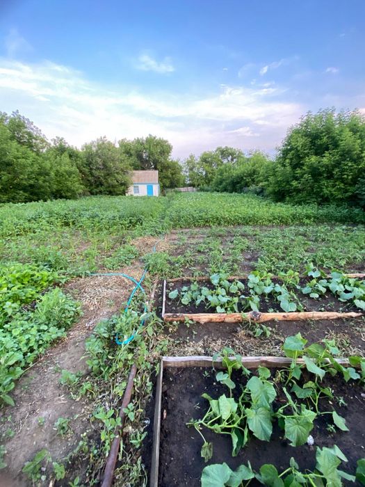 Дача мичюрино 10 соток