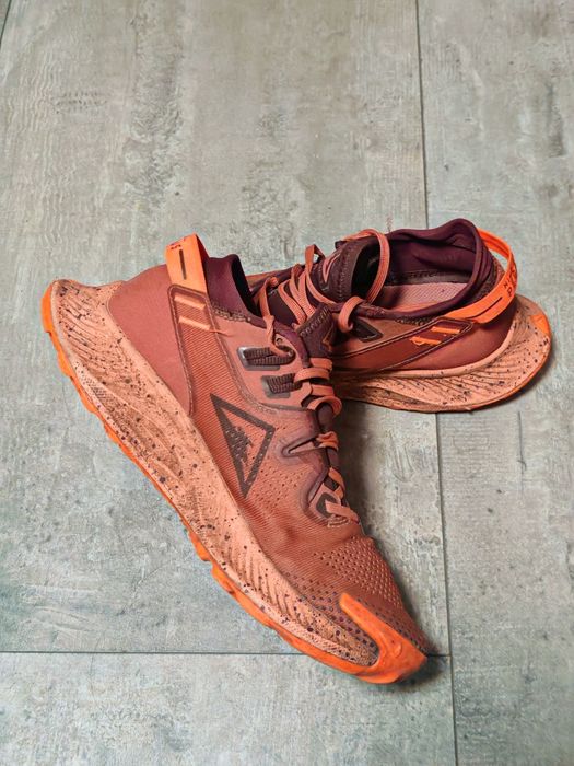 Маратонки Nike Pegasus Trail 2