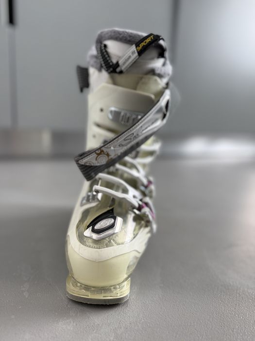 Clapari dama Salomon mar 38