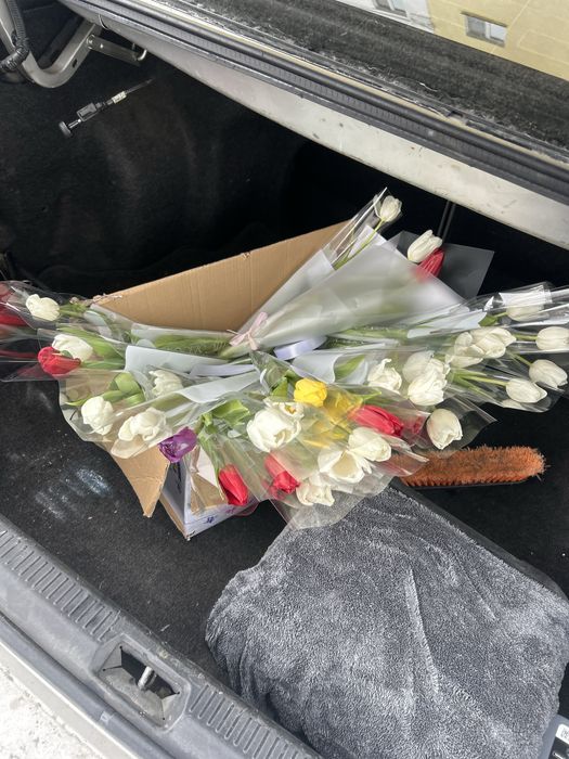 Цветы 25000 цена 51 тюльпаны