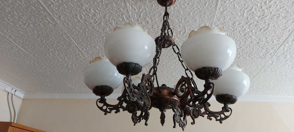 Полилей кована мед