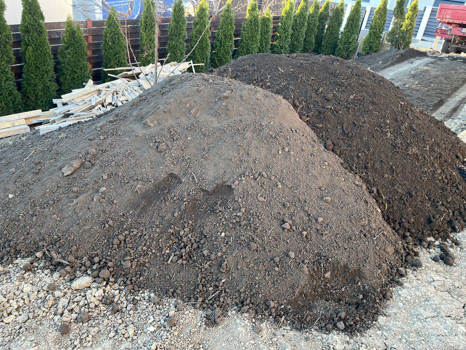 Pamant negru cernut