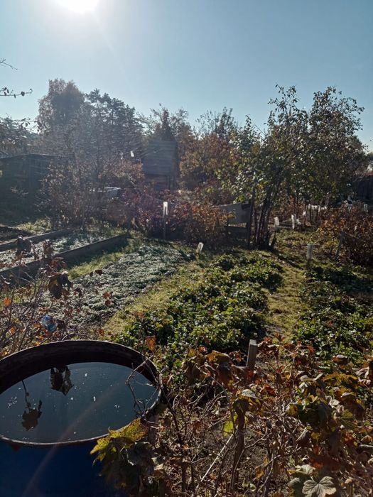 Продам дачный участок