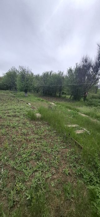 Сдам или продам дачу