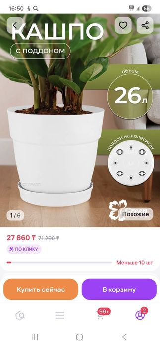 Продам Фикус Бенджамина