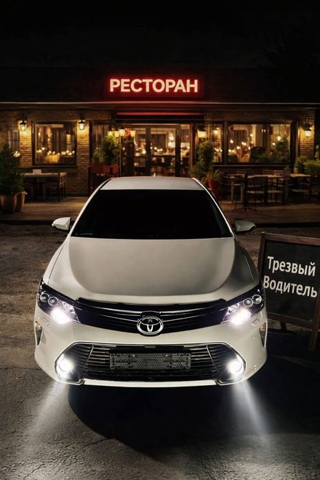 Трезвый Водитель