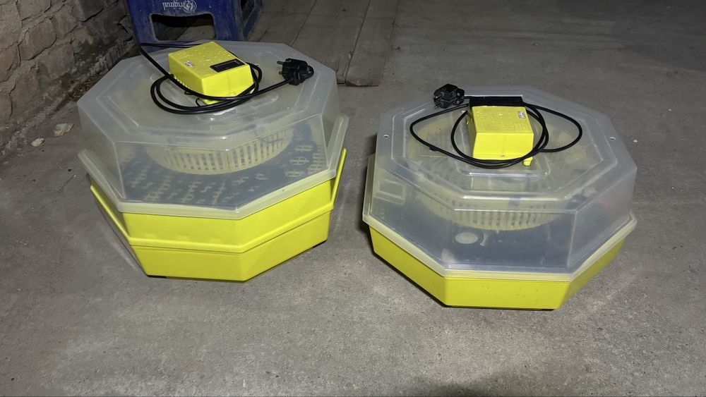 Lot incubator Cleo5 manual cheita