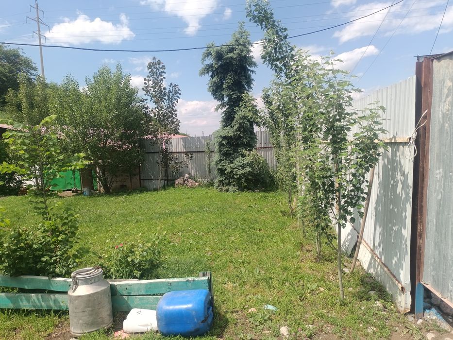 К.х 125 соток. Дом и ферма 30 на 10 для КРС