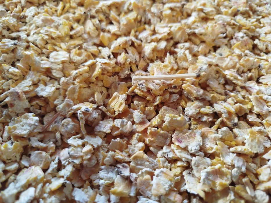 Хлопья плющенной кукурузы