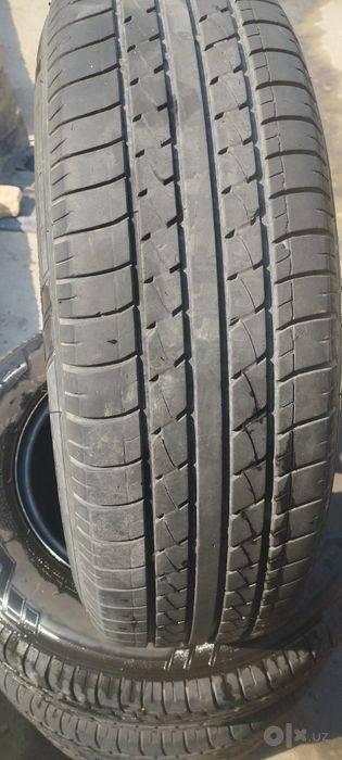 R 14 kobilt juguli nexia 2 3 tuwadi holati zur