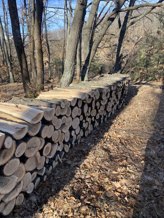 Дърва за огрев нарязани и нацепени бук и дъб Безплатен транспорт