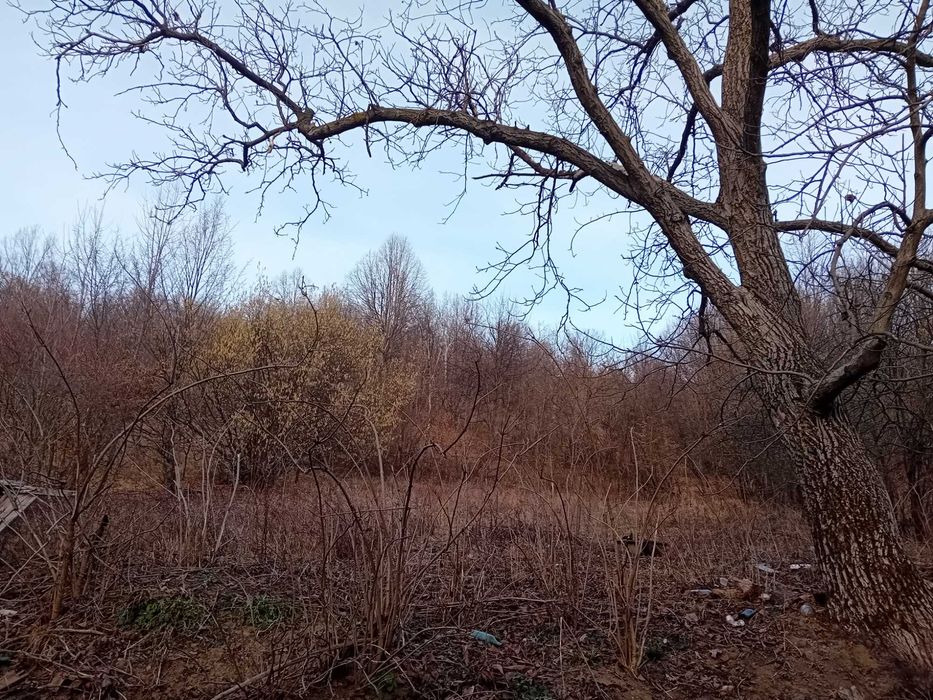 Teren + casa de vacanta  Scorteni , Mislea