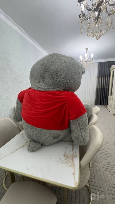 Плюшевый мишка тедди / Teddy / Teddi