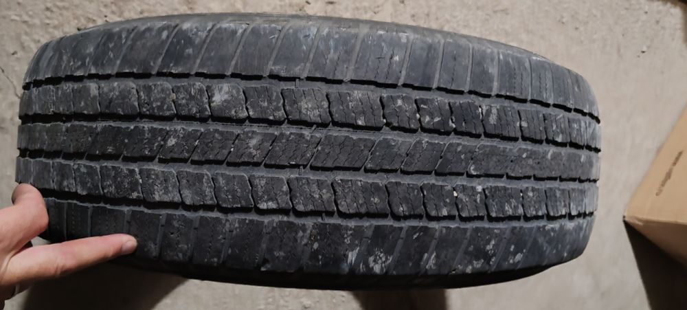 Шина все сезонка