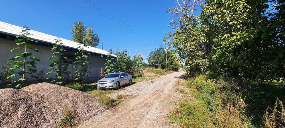 Срочно Продается Участок в Пскенте Цена Договорная.