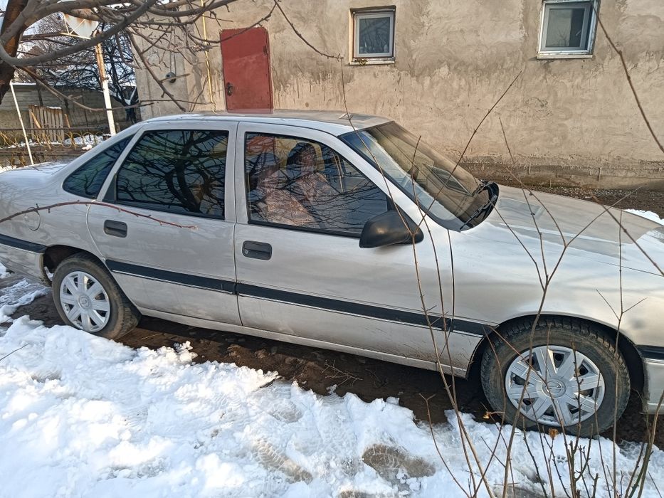 Жағдайы жақсы шірік жоқ