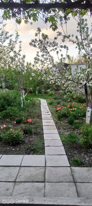 Продается дом.Цена ниже рынка