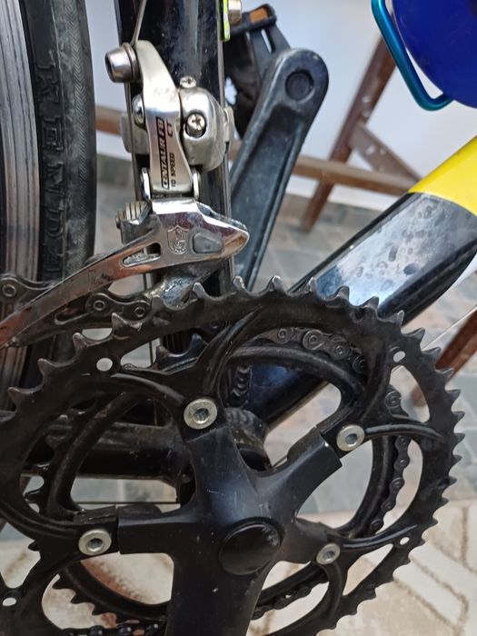 Vand sau la schimb cursiera