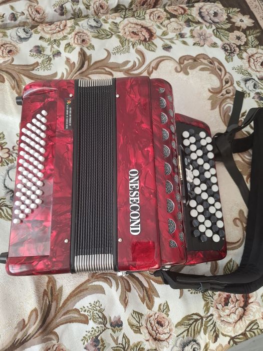 Баян инстурмент...