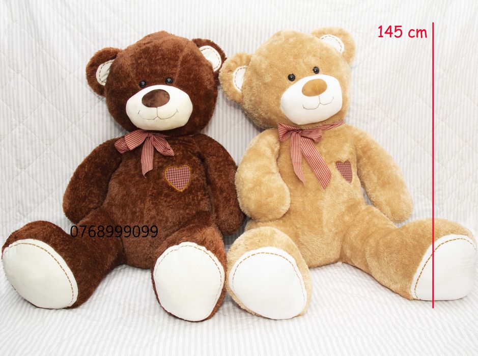 URSulet plus mare urs imens gigant