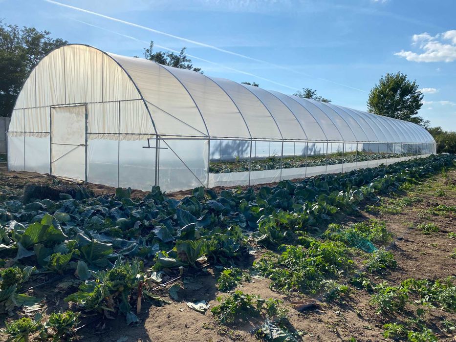 Solari Legume aerisire pe lateral